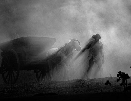 Galería de fotografía de Araquém Alcântara - Brasil