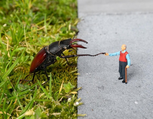 Gallery of Illustration by Slinkachu - England