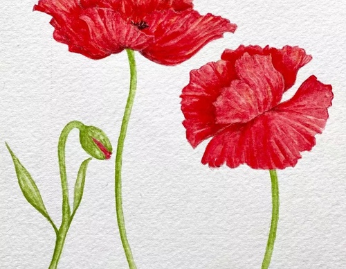 Galeria de Pintura de Silvia Trad - Portuguesa