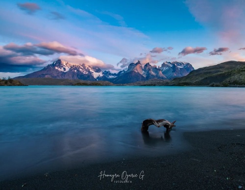 Gallery Of Photography By Homayra Oyarce G - Chile