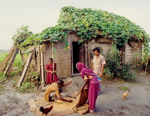 shahidul alam