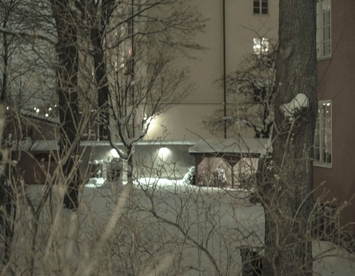 knut koivisto