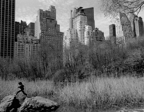 stuart franklin
