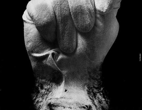 frieder grindler
