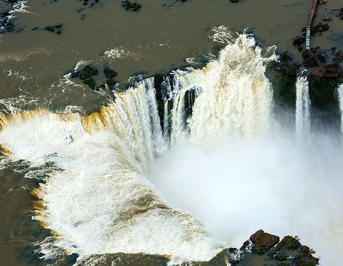 brazil jim zuckerman