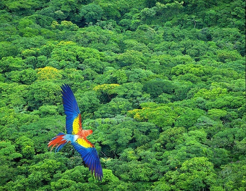 costa rica jim zuckerman