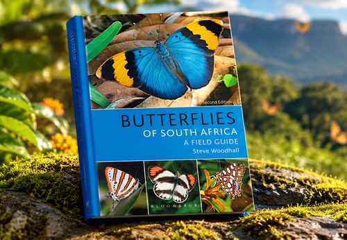 Mariposas de Sudáfrica: Guía de campo
