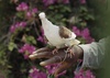 Gallery of Photography by Gregory Halpern – USA