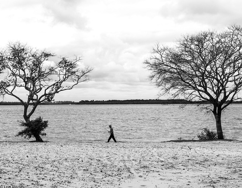 Gallery Of Photography By Luis Médici - Argentina