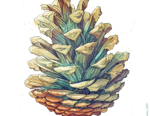 Gallery Of Illustration By Tavo Montanez - Mexico