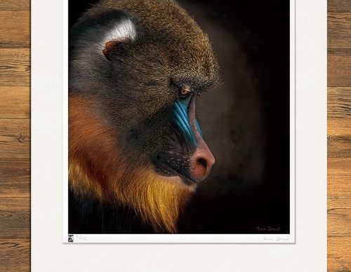 Galería de pintura realista de Annie Drew - Reino Unido