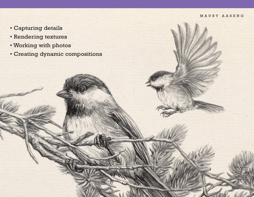 Desenhando pássaros passo a passo