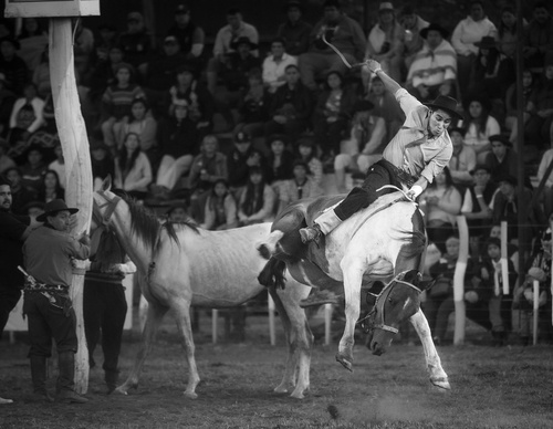 Galería de fotografía de Patricio Rodríguez - Argentina