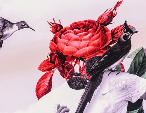 guillermo flores pacheco