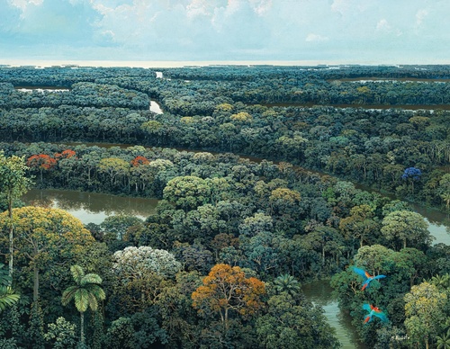 Gallery Of Painting By Maurício Barbato-Brazil