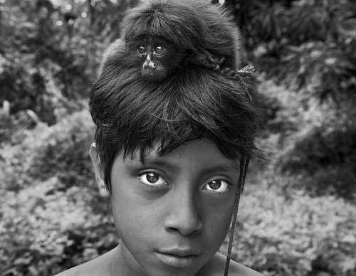Galeria de Fotografia de Sebastião Salgado-Brasil
