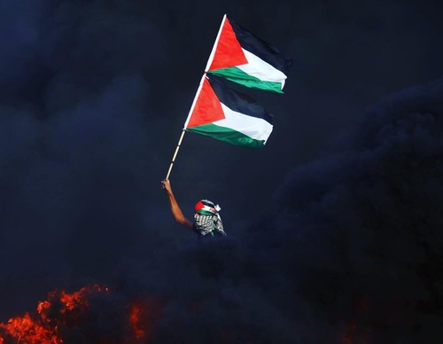 Galería de fotografías de Mohammed Zaanoun - Palestina