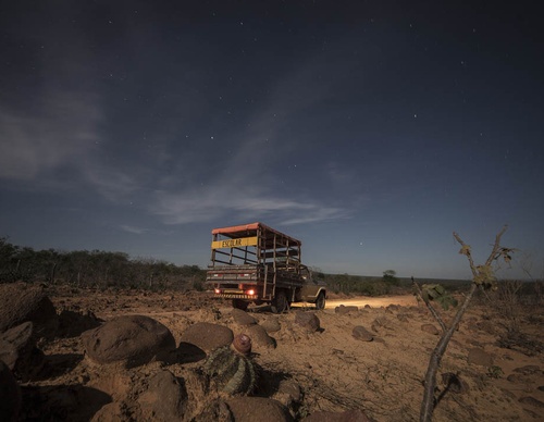 Gallery of photography by Gustavo Bettini-Brazil