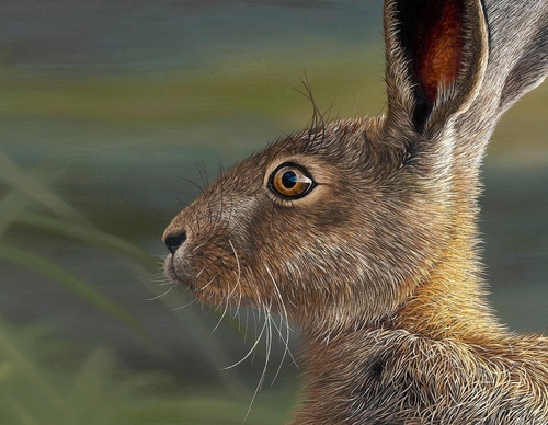 Galería de pintura realista de Annie Drew - Reino Unido