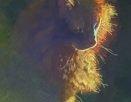 Gallery Of Illustration By Elle Kurtz - USA