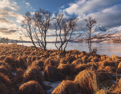 Gallery Of Photography By Marco Grassi - Argentina