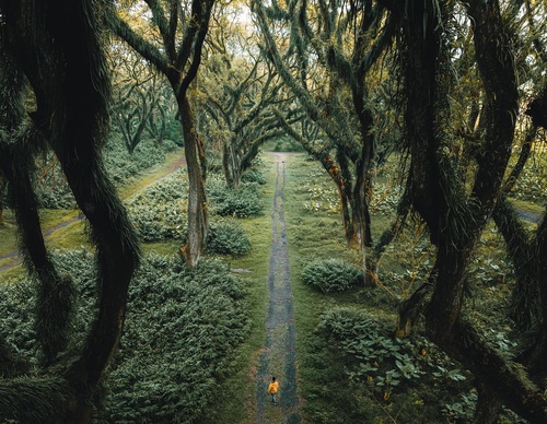 Galeria de fotografias de Long-Nong Huang - Alemanha