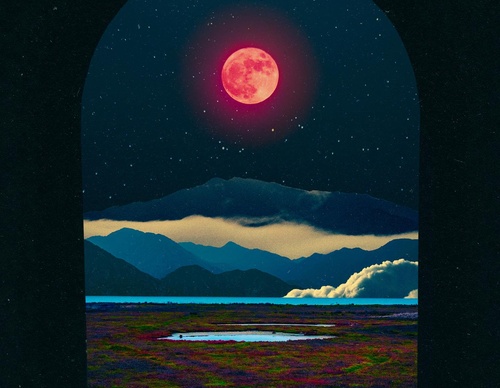 Gallery Of Illustration By Natasha Chomko - USA