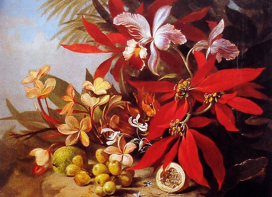 Agostinho Joséda Mota