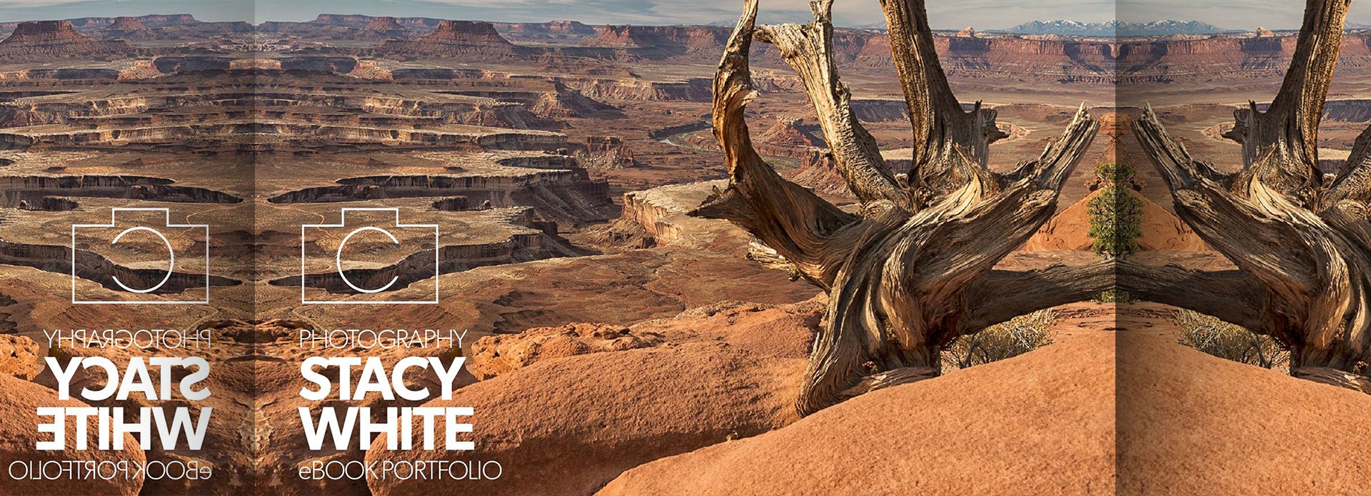 Stacy White Photography