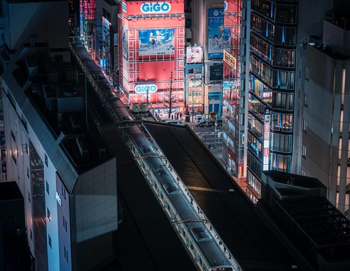 Gallery Of Photography By Junya Watanabe - Japan