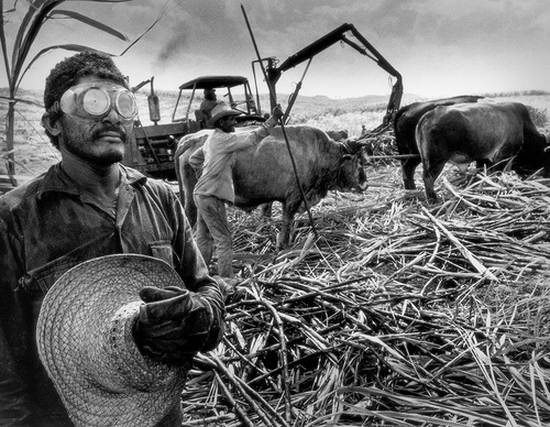 Galeria de Fotografia de Sebastião Salgado-Brasil