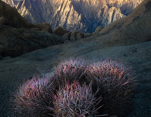 Galería de fotografía de Greg Boratyn - Argentina