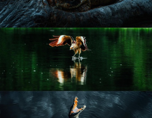 Gallery Of Photography By Luke - United Kingdom