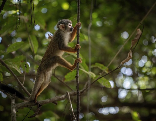 Gallery Of Photography By Fernando Faciole - Brazil