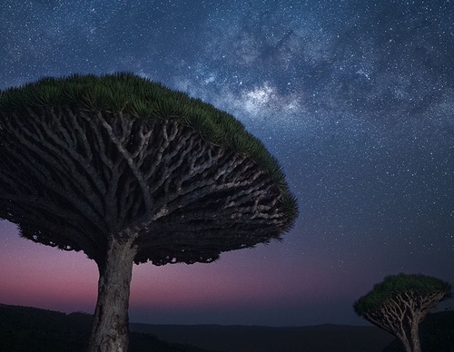 Gallery Of Photography By Marco Grassi - Argentina