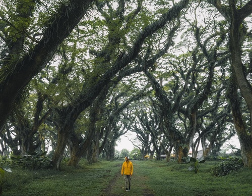 Galeria de fotografias de Long-Nong Huang - Alemanha