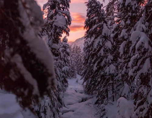 Gallery Of Photography By Patrick Thun - Alaska