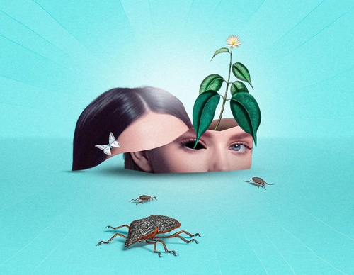 Gallery Of Illustration By Fnobre - Brazil