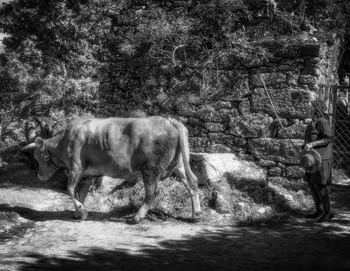 Gallery Of Photography By João Madureira - Portugal