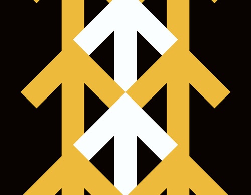 braley design