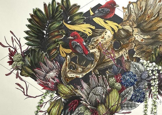 Gallery Of Illustration By Mallarie Bundy - USA