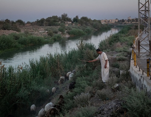 world press photo