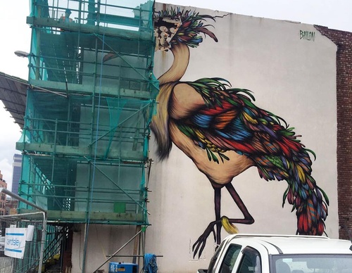 Gallery Of Street Art By Bailon - Brazil