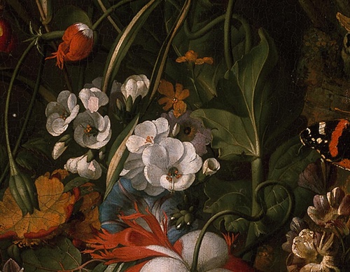 Galería de pintura de Rachel Ruysch, Países Bajos