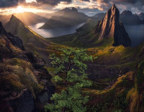Gallery Of Photography By Max Rive - Netherlands