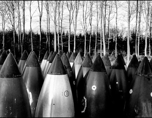 cornell capa