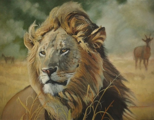 jorge castrillon