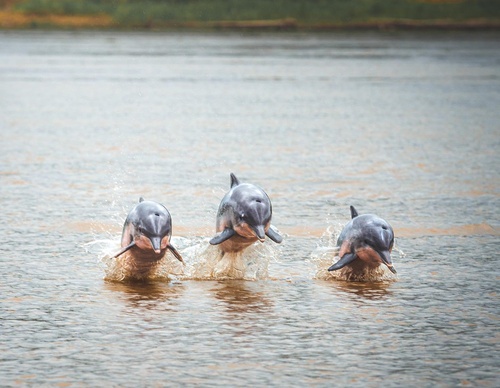 Gallery Of Photography By Paige Tingey - Peru