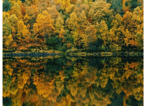 Daniel Casson