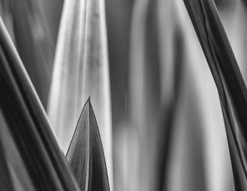 Galería de fotografía de Patricio Rodríguez - Argentina